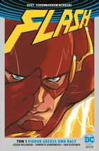 Flash – Piorun uderza dwa razy. Tom 1 (srebrna okładka)
