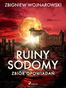 Ruiny Sodomy - zbiór opowiadań - Zbigniew Wojnarowski