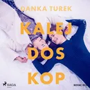 Kalejdoskop - Danka Turek