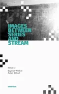 Images Between Series and Stream - Adam Cichoń
