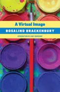 A Virtual Image - Rosalind Brackenbury