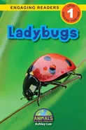 Ladybugs - Ashley Lee