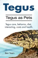 Tegus. Tegus as Pets. Tegus care, behavior, diet, interacting, costs and health. - Ben Team
