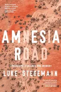 Amnesia Road - Luke Stegemann