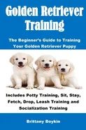 Golden Retriever Training - Brittany Boykin