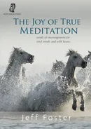 The joy of True Meditation - Jeff Foster