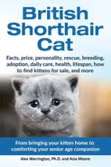 British Shorthair Cat - Ph.D. Alex Warrington