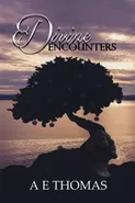 Divine Encounters - AE Thomas