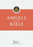 Angels in the Bible - George M Smiga