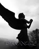 Dark Angel Journal - Sir Michael