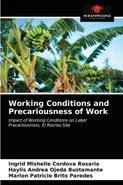Working Conditions and Precariousness of Work - Rosario Ingrid Mishelle Cordova