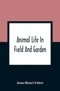 Animal Life In Field And Garden - Fabre Jean-Henri