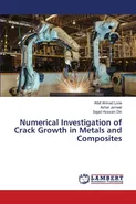Numerical Investigation of Crack Growth in Metals and Composites - Lone Altaf Ahmad