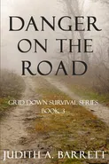 Danger on the Road - Judith A. Barrett