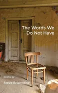 The Words We Do Not Have - Steve Brisendine