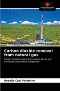 Carbon dioxide removal from natural gas - Palomino Rosalio Cusi