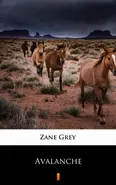 Avalanche - Zane Grey