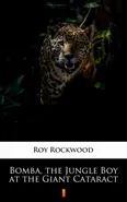 Bomba, the Jungle Boy at the Giant Cataract - Roy Rockwood