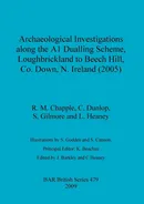 Archaeological Investigations along the A1 Dualling Scheme, Loughbrickland to Beech Hill, Co. Down, N. Ireland (2005) - R. M. Chapple