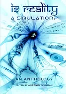 Is Reality a Simulation? - Antonin Tuynman