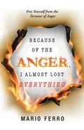 Because of the Anger, I Almost Lost Everything - Mario Ferro