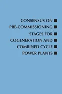 Consensus on Pre-Commissioning Stages for Cogeneration and Combined Cycle Power Plants