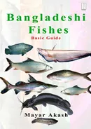 Bangladeshi Fishes Basic Guide - Mayar Akash