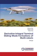 Derivative-integral Terminal Sliding Mode Formations of Multi-robots - Dianwei Qian