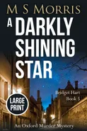 A Darkly Shining Star (Large Print) - M S Morris
