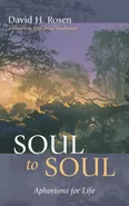 Soul to Soul - David H. Rosen