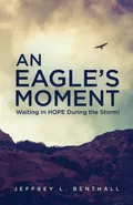 An Eagle's Moment - Jeffrey L. Benthall