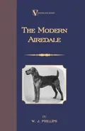 The Modern Airedale Terrier - W.J. Phillips