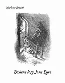 Dziwne losy Jane Eyre - Charlotte Brontë