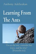Learning From The Ants - Anthony Adefarakan