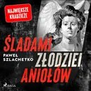 Śladami złodziei aniołów - Paweł Szlachetko