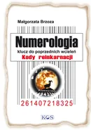 Numerologia klucz do poprzednich wcieleń - Małgorzata Brzoza