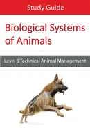 Biological Systems of Animals - Publishing Eboru