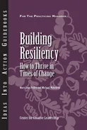 Building Resiliency - Mary Lynn Pulley