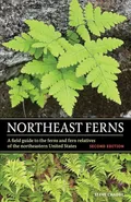 Northeast Ferns - Steve W Chadde