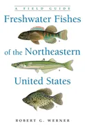 Freshwater Fishes of the Northeastern United States - Robert G. Werner