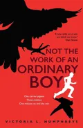 Not the Work of an Ordinary Boy - Victoria L Humphreys