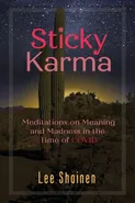 Sticky Karma - Lee Shainen