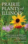 Prairie Plants of Illinois - Steve W. Chadde