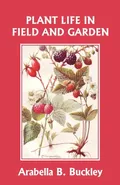 Plant Life in Field and Garden (Yesterday's Classics) - Arabella Buckley
