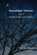 Moonlight Visions - Gary Wilson