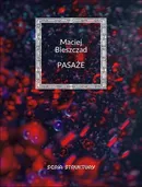 Pasaże - Maciej Bieszczad