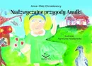 Nadzwyczajne przygody Anulki - Anna Chmielewska