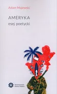 Ameryka Esej poetycki - Adam Majewski