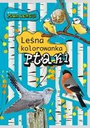 Ptaki Leśna kolorowanka - Andżelika Bielańska