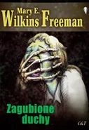 Zagubione duchy - Wilkins Freeman